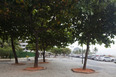calçadão copacabana burle marx