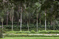 parque burle marx (antiga residência pignatari) burle marx