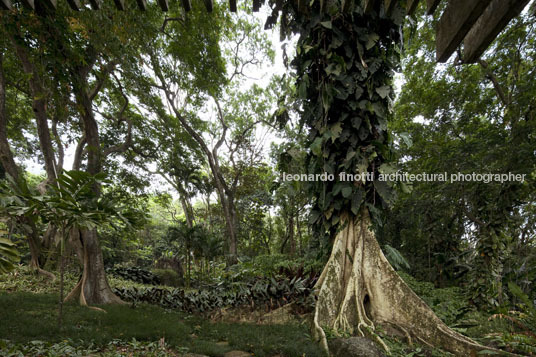 sítio roberto burle marx burle marx