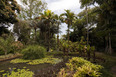 sítio roberto burle marx burle marx