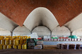 massaro agribusiness eladio dieste