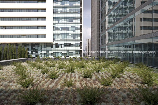 banco totta praça espanha frederico valsassina