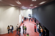 dom dinis school