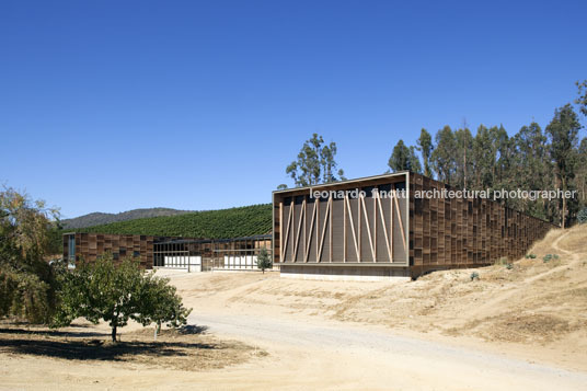 morandé winery martin hurtado