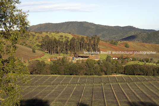 morandé winery martin hurtado