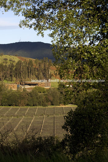 morandé winery martin hurtado