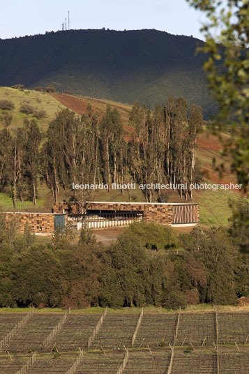 morandé winery martin hurtado