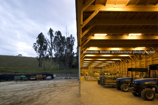 morandé winery martin hurtado