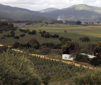 irrigation manager´s house at fundo izaro