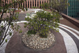 safra bank headquarter burle marx