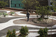 safra bank headquarter burle marx