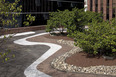 safra bank headquarter burle marx