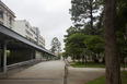 escola de medicina - usp andrade morettin