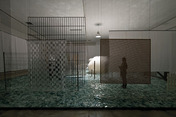 cildo meireles: através - inhotim