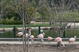 bicentenario park teodoro fernández 