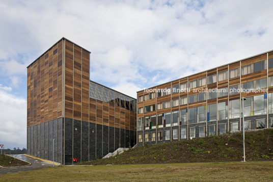 escuela san francisco javier martin hurtado