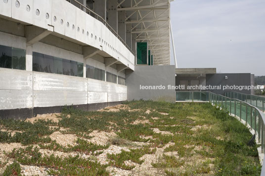 municipal stadium s.a. amorim arquitectos
