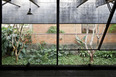 casa butantã paulo mendes da rocha