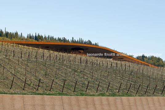 cantina antinori archea