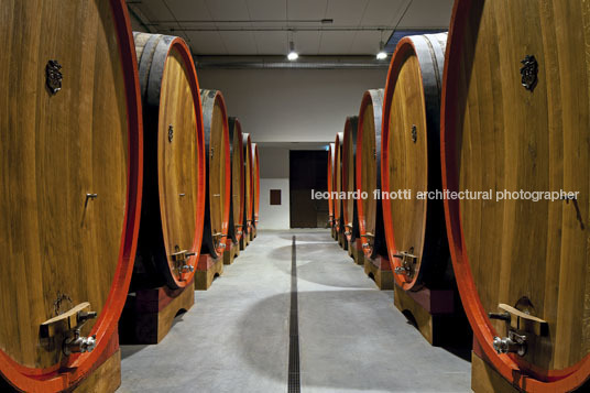 cantina antinori archea