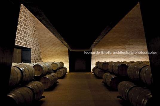 cantina antinori archea