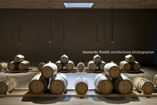 cantina antinori archea