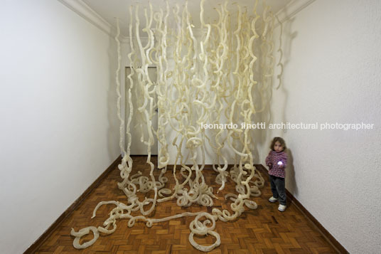 retrospective shirley paes leme