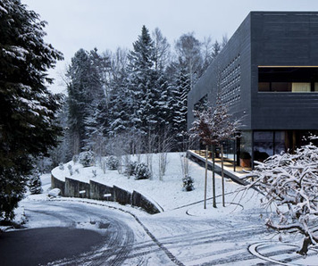 twin houses