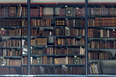 biblioteca brasiliana usp rodrigo mindlin loeb