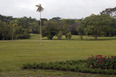 parque da cidade roberto burle marx burle marx