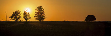 uberlandia snapshots