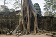 angkor civilization anonymous