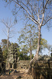 angkor civilization anonymous