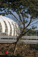 beira-rio stadium hype studio