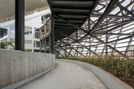 arena pantanal gcp arquitetos