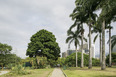 parque del este burle marx