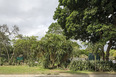 parque del este burle marx