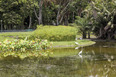 parque del este burle marx