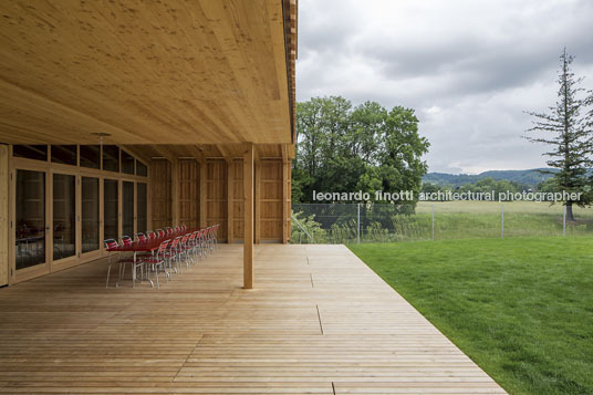 natural swimming pool herzog & de meuron