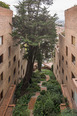 edificio alto de los pinos rogelio salmona