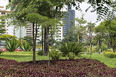 paço municipal rino levi