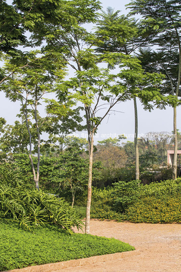 casa rsc - fazenda boa vista jacobsen arquitetura