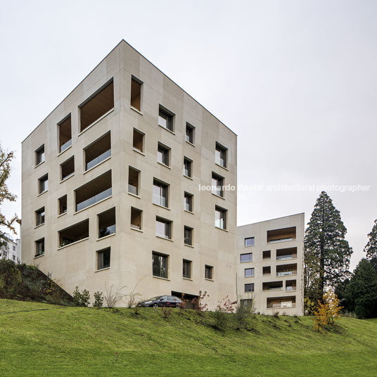 housing at wettsteinpark masswerk architekten