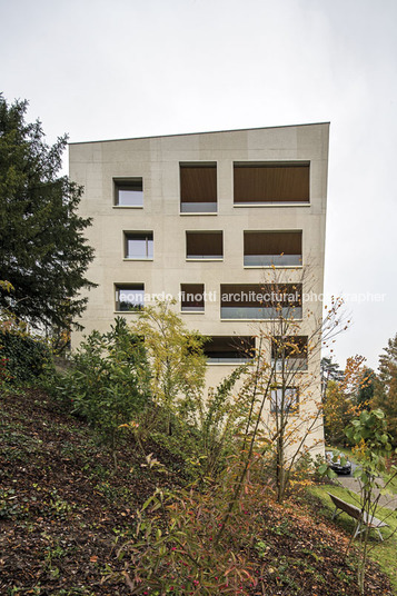 housing at wettsteinpark masswerk architekten