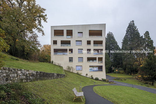 housing at wettsteinpark masswerk architekten