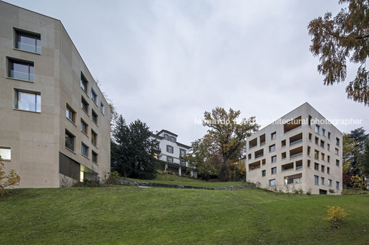 housing at wettsteinpark masswerk architekten