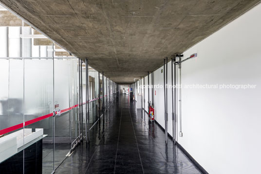 masp lina bo bardi