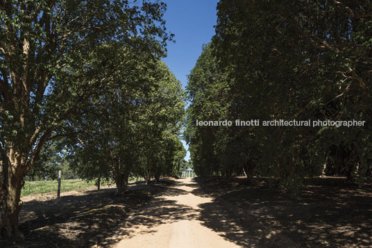 fazenda das palmeiras cva arquitetura