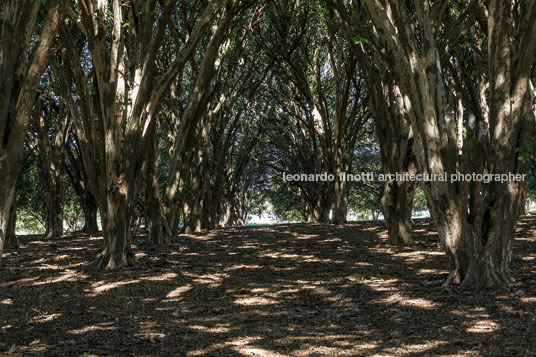 fazenda das palmeiras cva arquitetura