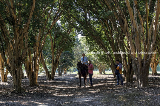 fazenda das palmeiras cva arquitetura